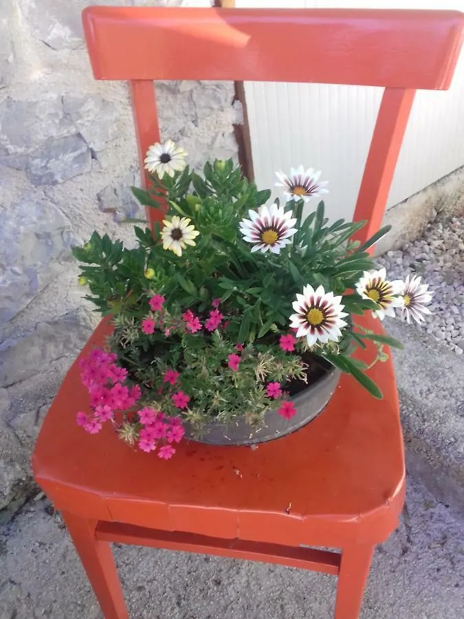 Apartment Rojal Mali Losinj